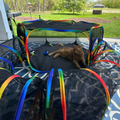 Outdoor Cat Playground Tent & Tunnel