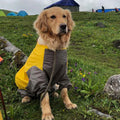 PetShield™ All-Weather Dog Raincoat Jumpsuit