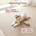 1pc Pet Dog/Cat Clothing, Allover Print With Pink Bow Tie, Breathable & Comfortable Knit Sweater