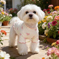 1pc Pet Dog/Cat Clothing, Allover Print With Pink Bow Tie, Breathable & Comfortable Knit Sweater