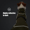 Winter Waterproof Large Dog Vest with Harness