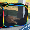 Outdoor Cat Playground Tent & Tunnel